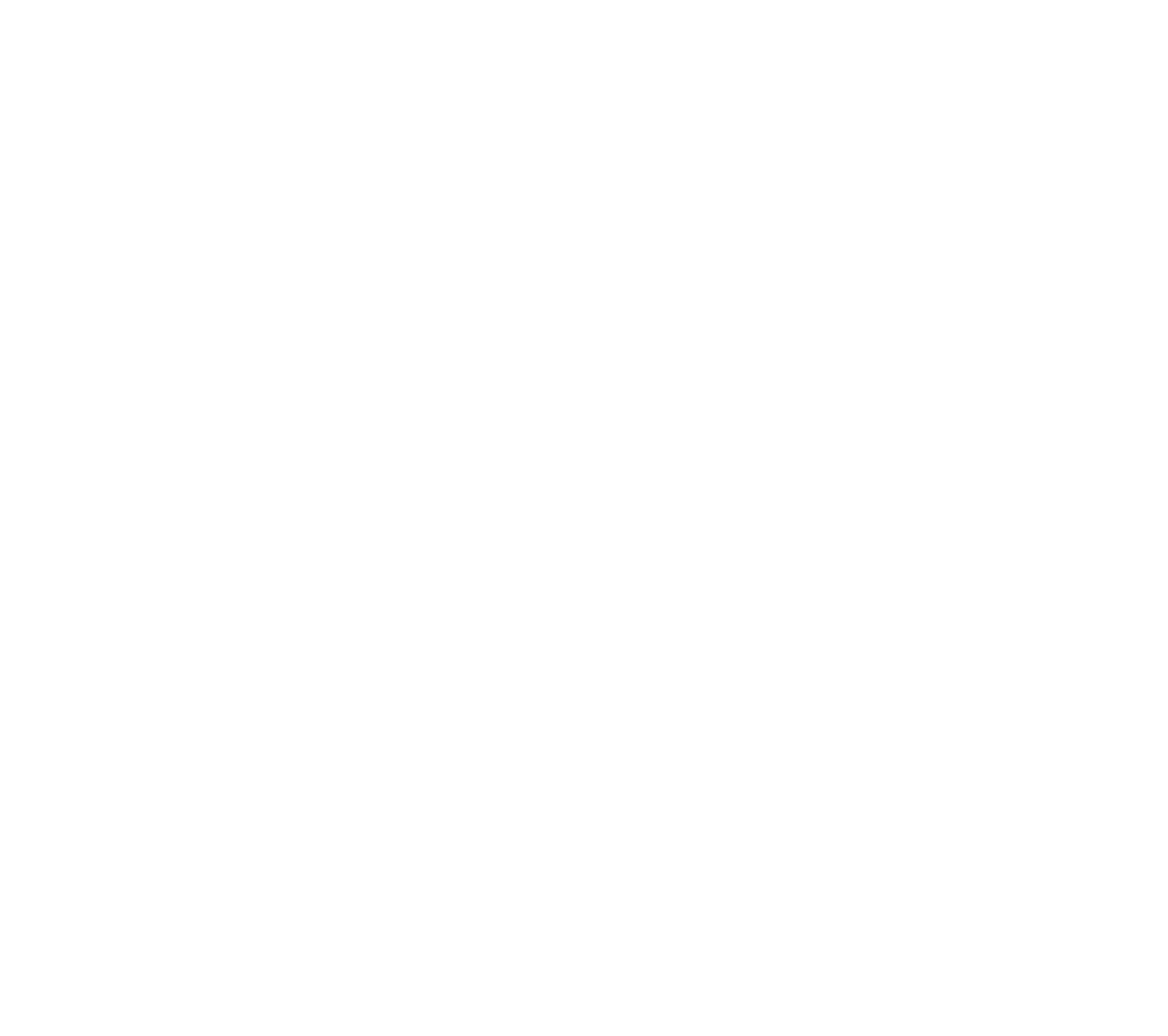 NetWing - IT Solutions Company Logo